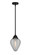 Nouveau 2 One Light Mini Pendant in Matte Black (405|288-1S-BK-G165)