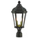 Morgan Two Light Outdoor Post Lantern in Bronze w/ Antique Gold Cluster (107|76188-07)