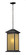 Vienna One Light Outdoor Chain Mount in Oil Rubbed Bronze (224|548CHB-ORB)