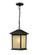 Holbrook One Light Outdoor Chain Mount in Oil Rubbed Bronze (224|507CHB-ORB)