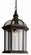 Wentworth One Light Hanging Lantern in Black Copper (110|4183 BC)