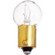 Light Bulb in Clear (230|S6947)