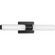 Blanco Led LED Linear Bath in Black (54|P300150-031-30)