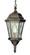 Villa Nueva One Light Hanging Lantern in Black Bronze (110|4717 BRZ)