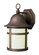 Thomas Two Light Wall Lantern in Weathered Bronze (110|4581 WB)