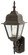 Argyle One Light Wall Lantern in Black (110|4412 BK)