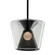 Berlin One Light Pendant in Soft Black (67|F5852-SBK)