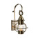 American Onion One Light Outdoor Wall Mount in Antique Brass (185|1713-AN-CL)