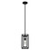 Doherty One Light Pendant in Natural Black Iron (47|19755)