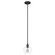 Dunshire One Light Pendant in Noble Bronze (47|19649)