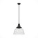 Cypress Grove One Light Pendant in Natural Black Iron (47|19251)