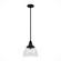 Cypress Grove One Light Pendant in Natural Black Iron (47|19247)
