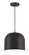 Vantage Pendants One Light Hanging Lantern in Coal (7|6202-66A)