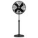 Stand Fan in Matte Black (47|97316)