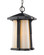 Harbor Lane One Light Outdoor Chain Mount in Black (224|542CHM-BK)