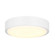 Led Light Kit LED Fan Light Kit in White (387|LK-CPWH)