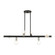 Bannister Six Light Linear Chandelier in Black w/ Brushed Nickels (107|45866-04)