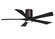 Irene 52''Ceiling Fan in Brushed Bronze (101|IR5HLK-BB-BK-52)