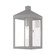 Nyack One Light Outdoor Wall Lantern in Nordic Gray w/ Brushed Nickels and Polished Chrome Stainless Steel (107|20582-80)