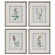 Heirloom Blooms Framed Prints Set/4 in Gray (52|32285)