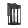 Lexington Three Light Outdoor Wall Lantern in Black (107|27715-04)