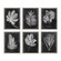 Foliage Wall Art in Champagne Silver (52|33671)