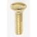 Switchplate Screw in Brass Plated (230|90-538)