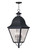 Amwell Four Light Outdoor Pendant in Black (107|2547-04)