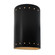 Ambiance LED Wall Sconce in Carbon Matte Black with Champagne Gold internal (102|CER-5995W-CBGD)