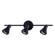 Byck Three Light Track Lighting in Black (387|IT1020A03BK10)