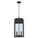 Marley Two Light Outdoor Hanging Lantern in Black (110|51527 BK)