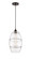 Edison One Light Mini Pendant in Oil Rubbed Bronze (405|616-1P-OB-G557-10CL)