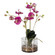 Glory Orchid Orchid in Fuchsia (52|60220)