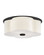 Delaney LED Flush Mount in Black (13|46443BK)