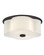 Delaney LED Flush Mount in Black (13|46441BK)