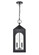 Bratton Two Light Outdoor Hanging Lantern in Powder Coated Black (59|7832-PBK)
