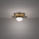 Landed LED Flush Mount in Black (281|FM-16412-BK)