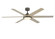 Brawn 64''Ceiling Fan in Antique Graphite (26|FPD6605AGP)