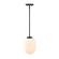 Noor One Light Pendant in Matte Black (43|D324M-8P-MB)