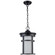 One Light Outdoor Hanging Lantern in Black (110|40385 BK-FR)