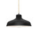 Radiance One Light Pendant in Carbon - Matte Black (102|CER-6260-CRB-NCKL-BEIG-TWST)