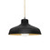 Radiance One Light Pendant in Carbon Matte Black w/ Champagne Gold (102|CER-6260-CBGD-NCKL-BEIG-TWST)