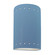 Ambiance One Light Outdoor Wall Sconce in Sky Blue (102|CER-5990W-SKBL)