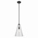 Everly One Light Pendant in Black (12|42199BKCS)