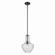 Everly One Light Pendant in Black (12|42141BKCS)