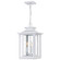 Wakefield Three Light Outdoor Hanging Lantern in Matte White (10|WKF1911W)