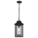 Bosque One Light Outdoor Pendant in Black (110|51694 BK)