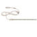 LED Tape Light in White (167|NUTP13-W30-12-940/CPSP)