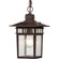 Cove Neck One Light Hanging Lantern in Rustic Bronze (72|60-4955)