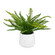Boston Fern Ceramic Pot in White (52|60238)